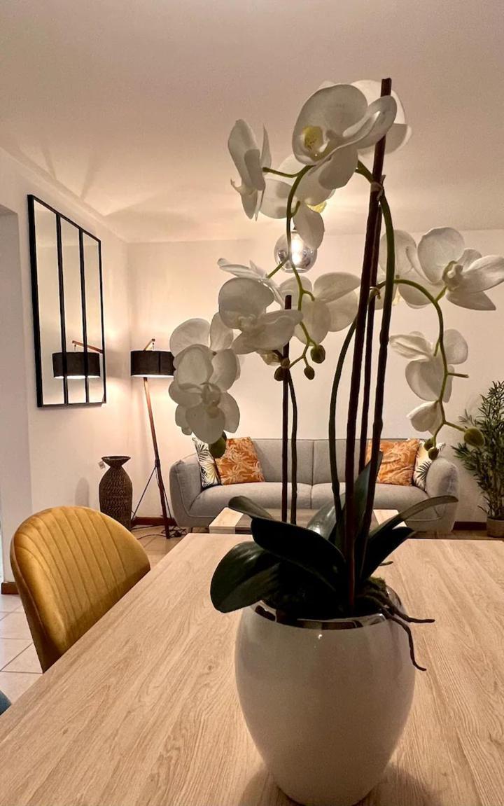 Appartamento Chez Gerard Saint Pierre Esterno foto
